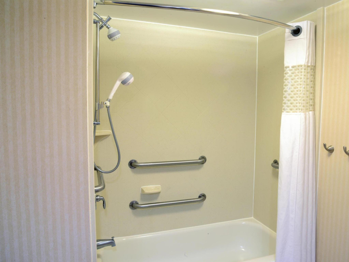 Bathroom 4, Hampton Inn Charleston-Downtown (Civic Center), Kanawha