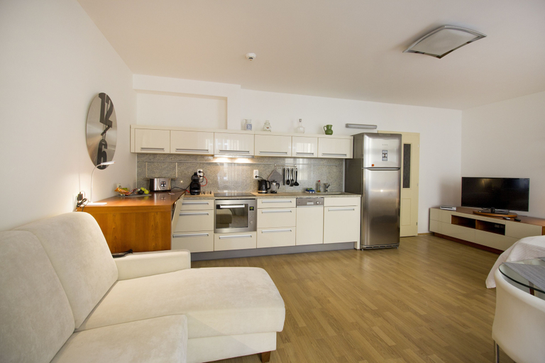 Others 4, Luxurious Apartment near Prague Castle, Praha 6