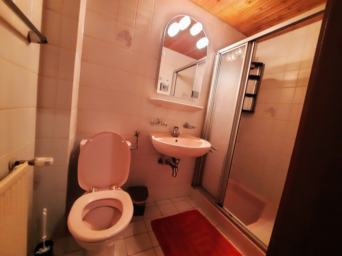 Bathroom 3, Aliegusta, Hermagor