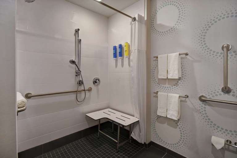 Bathroom 4, Tru By Hilton Denver South Park Meadows, Douglas