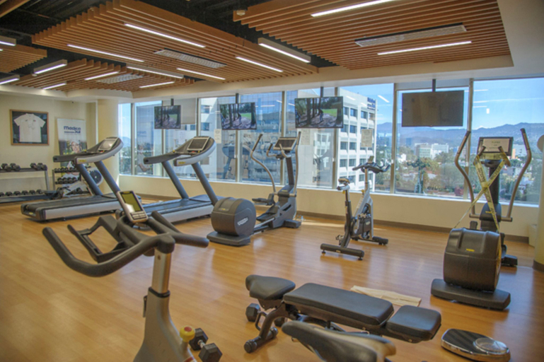 Others 2, Holiday Inn & Suites MEXICO MEDICA SUR by IHG, Mexico City