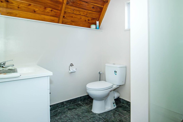 Bathroom 3, Mountain Chalets Motel, Mackenzie