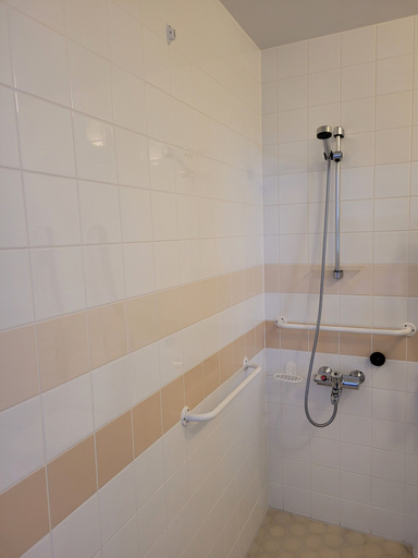 Bathroom 4, QP Resort, North Savonia