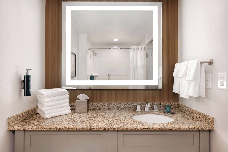 Bathroom 5, DoubleTree Suites by Hilton Raleigh - Durham, Durham