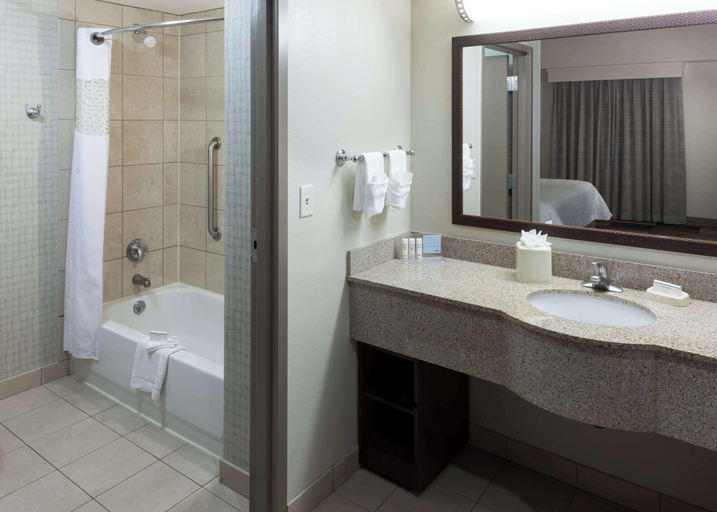 Bathroom 4, Hampton Inn & Suites Boise-Downtown, Ada
