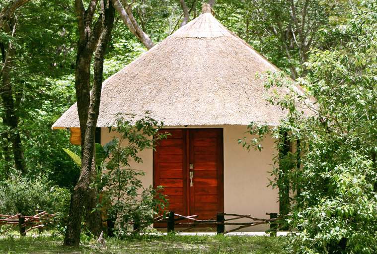 Exterior & Views 2, Gwango Elephant Lodge, Hwange