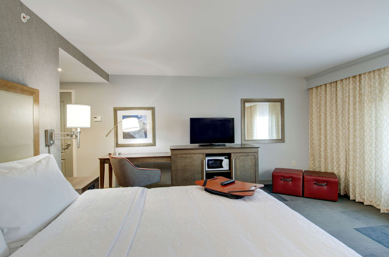 Bedroom 3, Hampton Inn & Suites Springfield/Downtown, Hampden