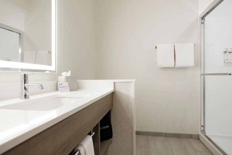 Bathroom 3, Holiday Inn Express TOLEDO NORTH by IHG, Lucas