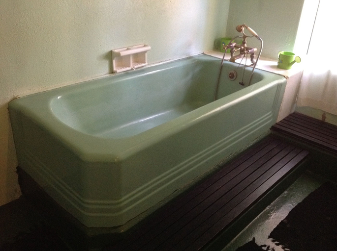 Bathroom 4, Swaynekloof Farm, Overberg