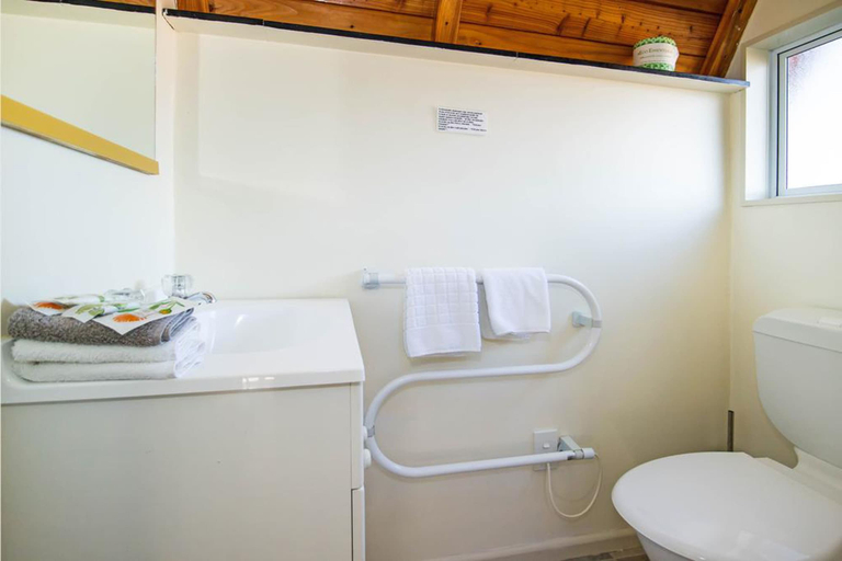 Bathroom 3, Mountain Chalets Motel, Mackenzie