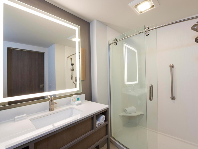 Bathroom 4, Hilton Garden Inn Grand Rapids East, Kent