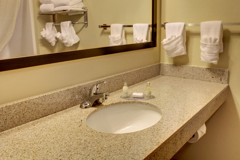 Bathroom 4, Red Roof Inn Charlestown, Clark