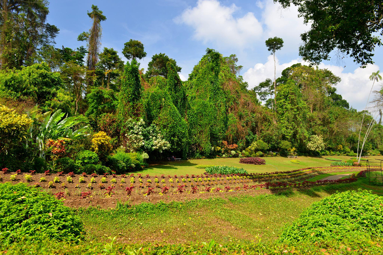Nearby Landmark 4, Hotel Mapura, Yatinuwara