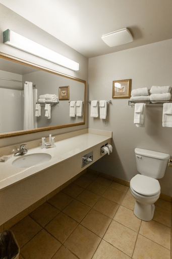 Bathroom 4, Country Inn & Suites by Radisson, El Dorado, AR, Union