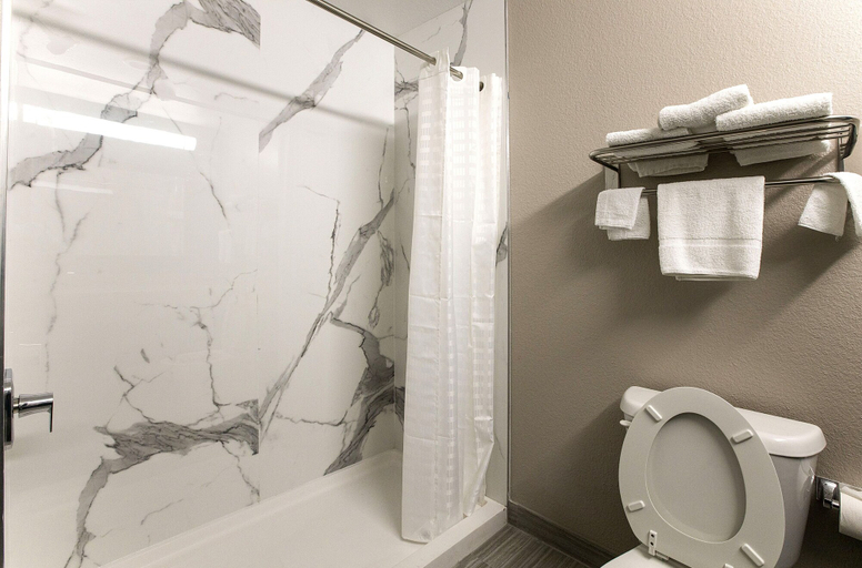 Bathroom 4, Express Inn, Fort Bend