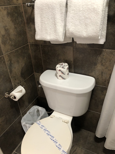 Bathroom 3, Falcon Motel Brossard, Champlain