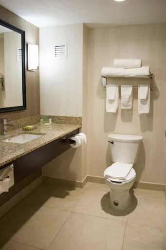 Bathroom 2, Holiday Inn & Suites HERMOSILLO AEROPUERTO by IHG, Hermosillo