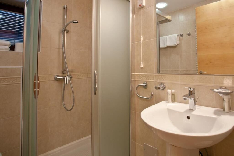 Bathroom 3, Vila Podvin, Radovljica