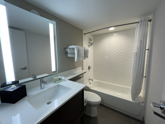 Bathroom 5, Holiday Inn & Suites CHICAGO-DOWNTOWN by IHG, Cook