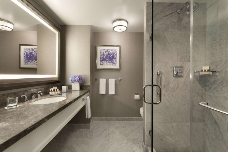 Bathroom 5, Fairmont Olympic Hotel, Seattle