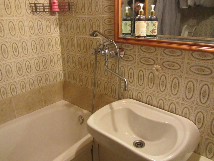 Bathroom 2, Old Flat Apartments on Belinskogo, Sankt-Peterburg gorsovet