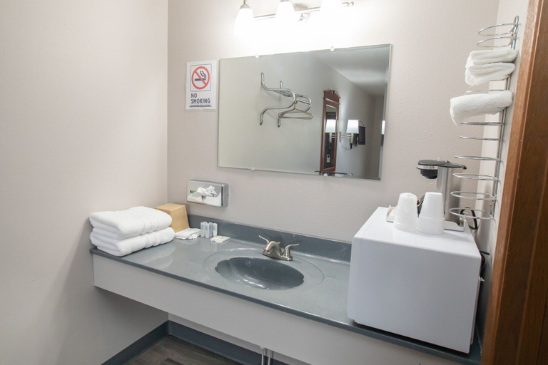 Bathroom, Shady Rest Motel, Furnas