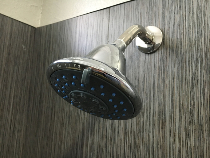 Bathroom 4, Town House Motel, Los Angeles