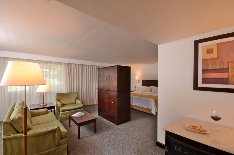Bedroom 5, Holiday Inn MONTERREY VALLE by IHG, San Pedro Garza García