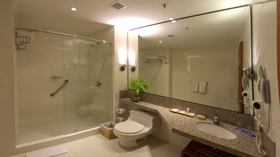 Bathroom 4, GHL Hotel Grand Villavicencio, Villavicencio