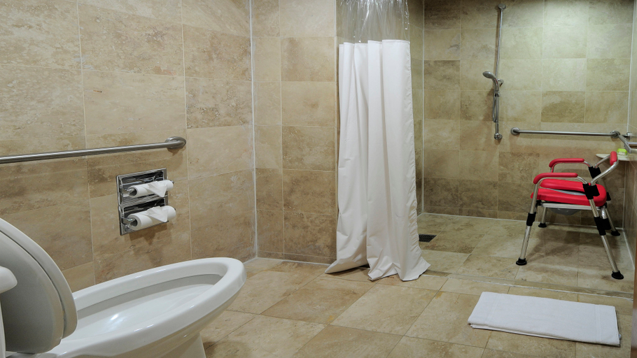 Others 5, Holiday Inn URUAPAN by IHG, Uruapan