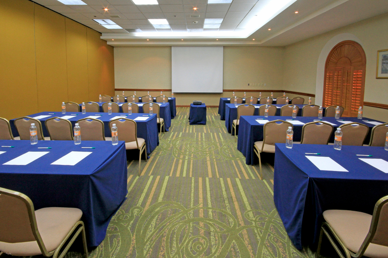 Business Facilities 4, Holiday Inn MONCLOVA by IHG, Monclova