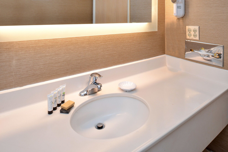 Bathroom 3, Comfort Inn & Suites Susanville, Lassen