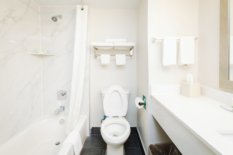 Bathroom 4, Quality Suites Houston Hobby Airport, Houston