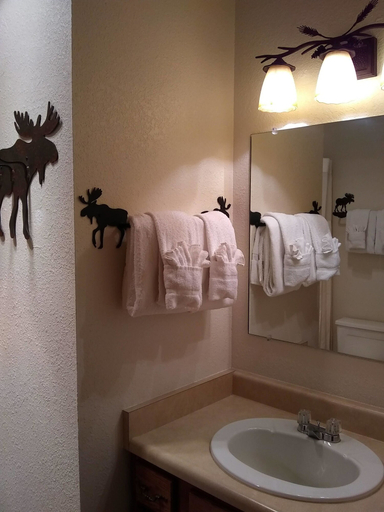 Bathroom 3, Indian Peaks Resort, Grand