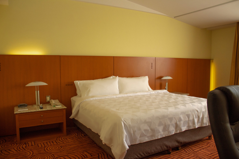 Others 5, Holiday Inn PUEBLA FINSA by IHG, San Pedro Cholula