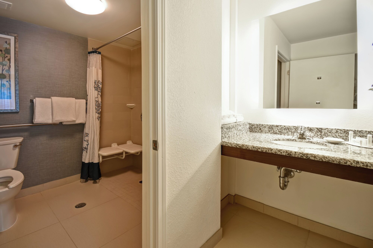 Bathroom 4, Residence Inn Springfield Chicopee, Hampden