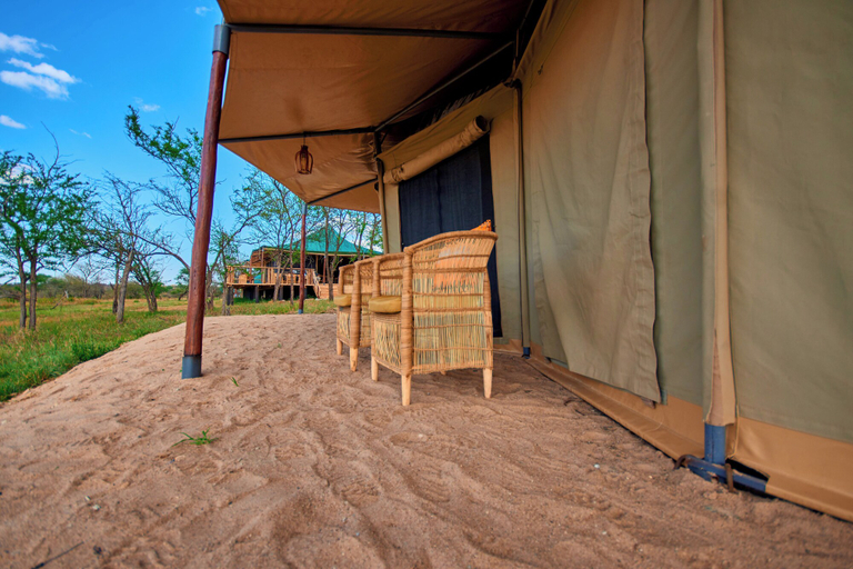 Others 5, Moyo Tented Camp, Serengeti