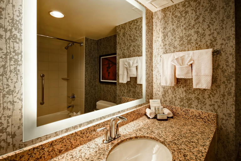 Bathroom 5, Embassy Suites Dulles Airport, Fairfax