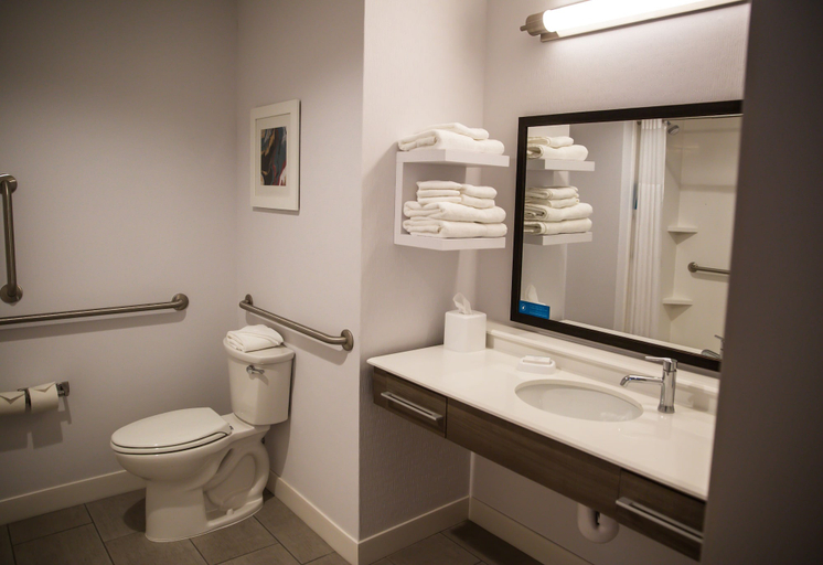 Bathroom 4, Hampton Inn Pontiac, Livingston