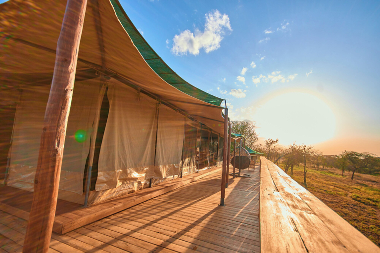 Others 4, Moyo Tented Camp, Serengeti