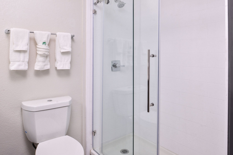 Bathroom 4, Holiday Inn & Suites DALLAS-ADDISON by IHG, Dallas