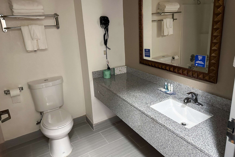 Bathroom, Quality Inn Hazlehurst, Copiah