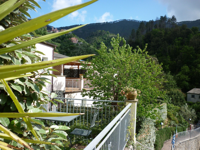 Scenery