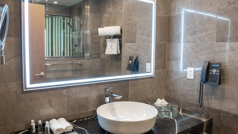 Bathroom 5, Holiday Inn SANTO DOMINGO by IHG, Distrito Nacional