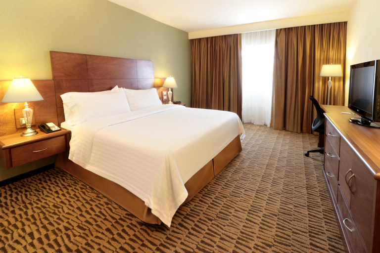Bedroom 5, Holiday Inn MONTERREY NORTE by IHG, San Nicolás de los Garza