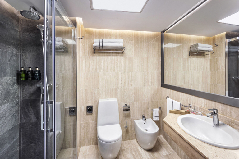 Bathroom 8