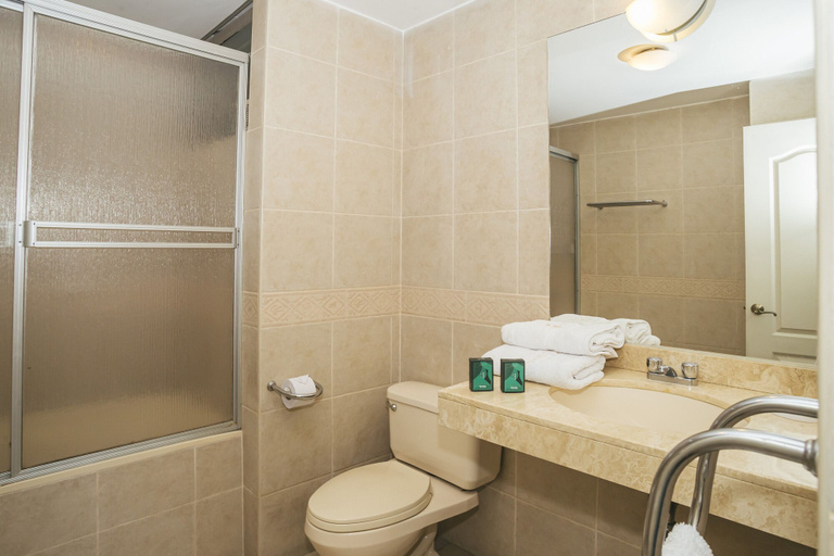 Bathroom 4, Hotel Asturias Gold, Arequipa