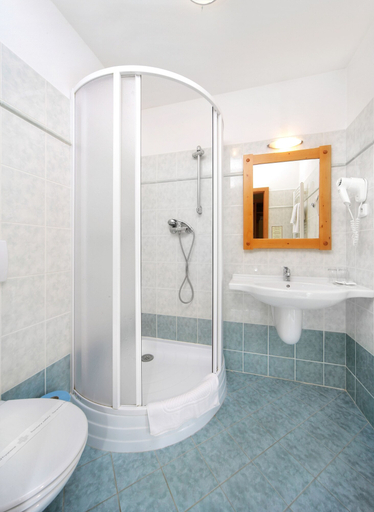 Bathroom 4, Wellness Hotel Gendorf, Trutnov