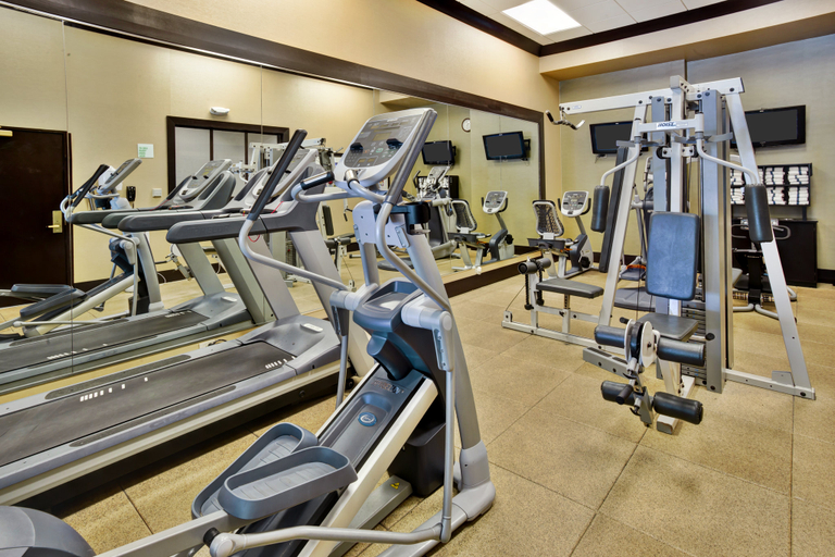 Others 2, Holiday Inn & Suites CHICAGO NORTHWEST - ELGIN by IHG, Kane