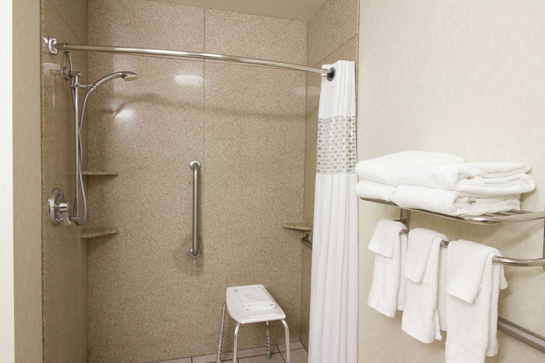 Bathroom 4, Hampton Inn Norfolk, Madison